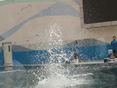 -北戴河圣蓝海洋公园