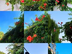 -陶然亭公园