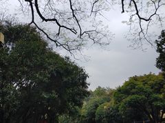 -桂林独秀峰王城景区