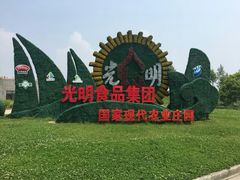 -上海都市菜园
