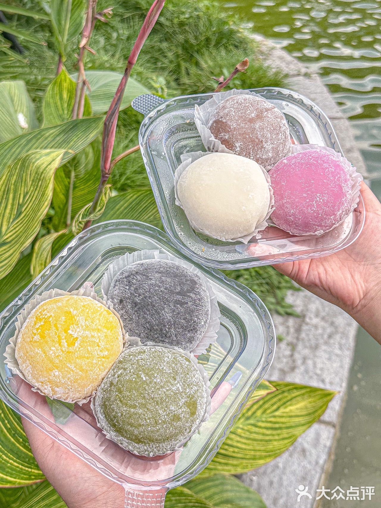 上海巨火的芋泥...排队1h也要买!