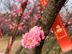 -开福禅寺