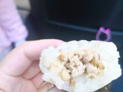 紫菜糯米卷-陈记印尼风味小吃(北湖店)