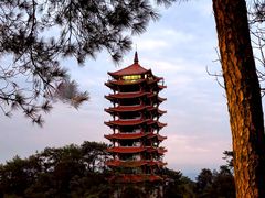 -缙云山景区