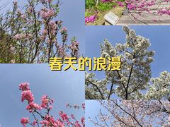 -西湖文化广场