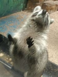 -长沙云顶星河游乐园(步步高·梅溪新天地店)