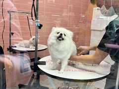 -FAELING PETS美天灵宠物(合生汇店)