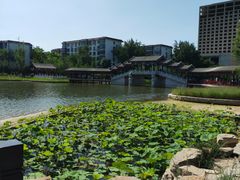 -西海子公园