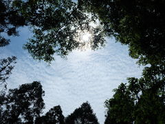 -东平国家森林公园