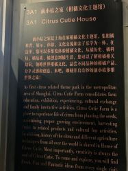 -前小桔亲子创意农场·草莓采摘·露营烧烤