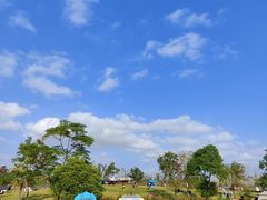 -上海滨江森林公园
