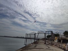 -东疆建设开发纪念公园