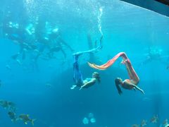 -瑞德姆美人鱼海底演艺主题餐厅(亚龙湾店)