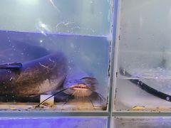 -鱼酷活鱼烤鱼(南京水游城店)