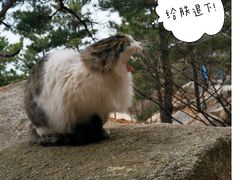 -崂山仰口游览区