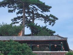 -妙峰山风景名胜区