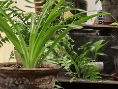 -皇城根茶馆(兴隆都市馨园店)