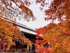 -常寂光寺