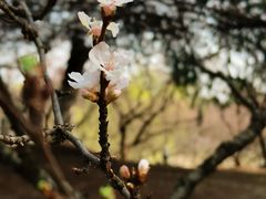 -白塘生态植物园