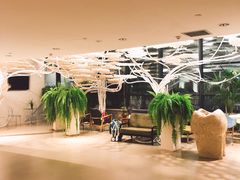 -哈尔滨圣安口腔专科医院