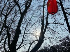 -杭州黄龙洞