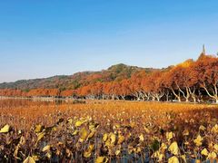 -北山街历史文化街区