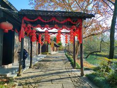 -西溪国家湿地公园