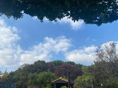 -上海滨江森林公园