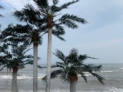 -北戴河碧螺塔海上酒吧公园