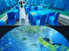 -海棠湾洲际-涛·海底餐厅·美人鱼·自助餐·海底隧道