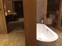 -河源万绿湖美思威尔顿酒店