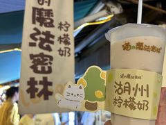 -猫的魔法密林(衣裳街店)