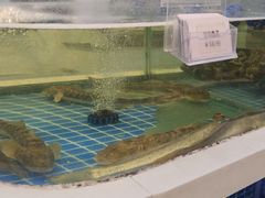 -大众海鲜(巨龙北路店)