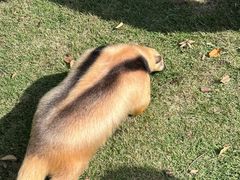 -上海野生动物园