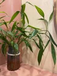 点击看大图 -头道汤·茜曼缇娜