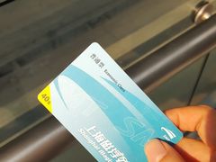 -龙阳路磁悬浮列车总站-停车场