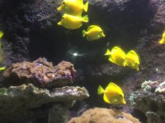-杭州海底世界
