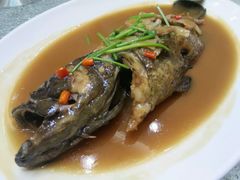 -頂好酒家·经典粤菜(海信广场店)