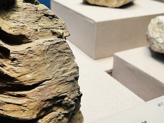 -湖南省地质博物馆