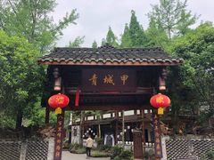 -青城甲(青城山店)