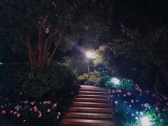 -常州古运河南大街文化旅游区-人民公园