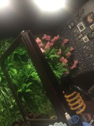 -藤野造型·专业烫染店