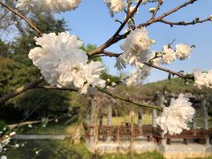 -南山风景名胜区