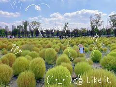 -映月湖中央公园