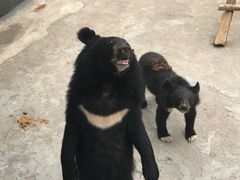 -西安秦岭野生动物园