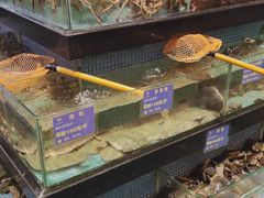-益健名厨海鲜城(夏湾店)