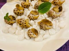 酒糟小花螺-惠食佳·朱雀(东方商厦店)