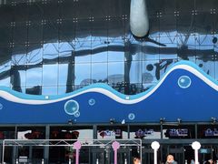 -泉城欧乐堡海洋极地世界
