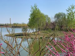 -东郊湿地公园