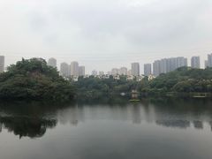 -重庆彩云湖湿地公园